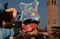 Carnevale 2010 FB (59)